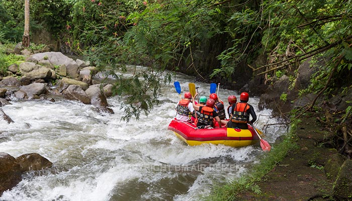 Ubud - Ayung river rafting