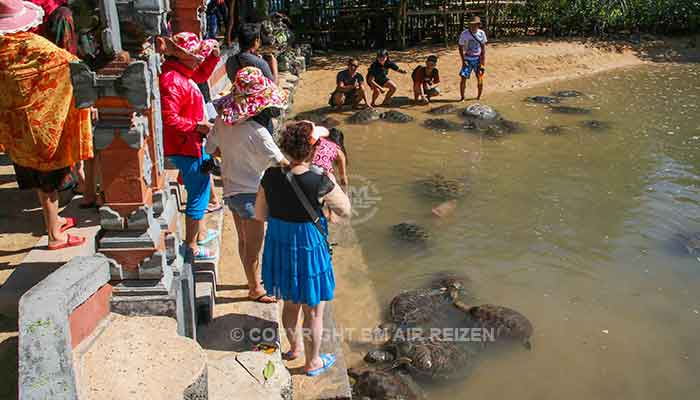 Bali - Turtle island
