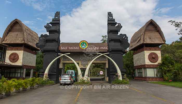 Bali - Bali safari marine park