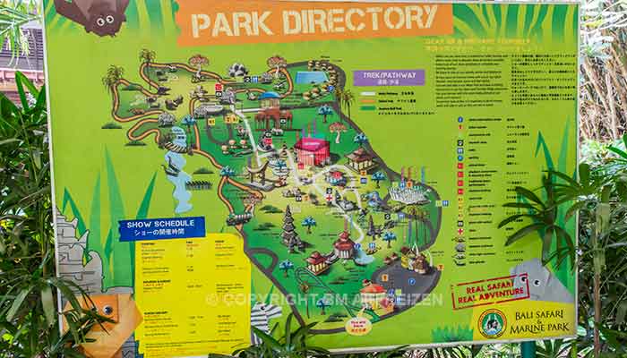 Bali - Bali safari marine park