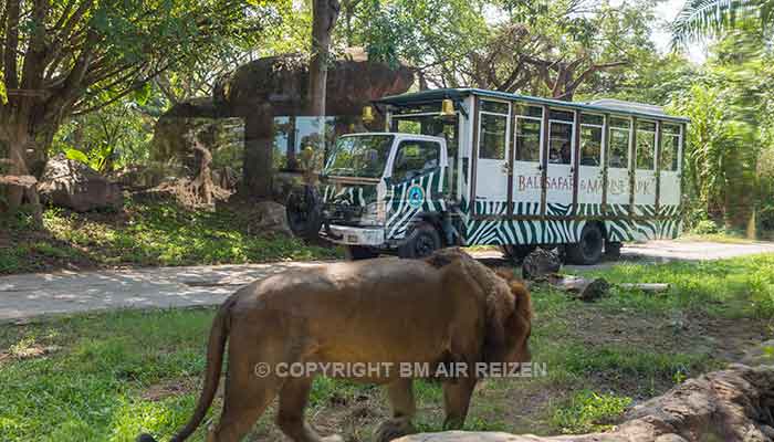 Bali - Bali safari marine park