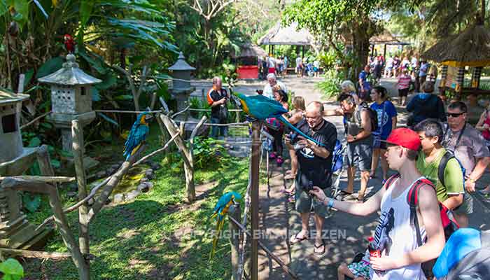 Bali - Bali safari marine park