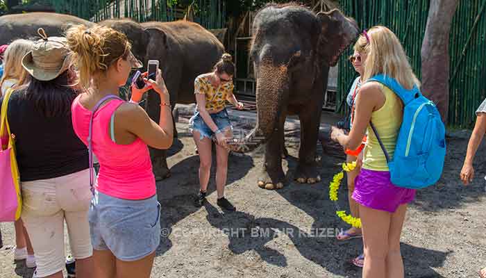 Bali - Bali safari marine park