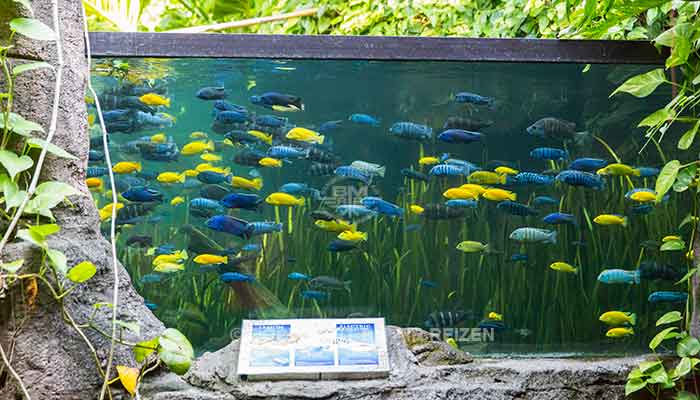 Bali - Bali safari marine park