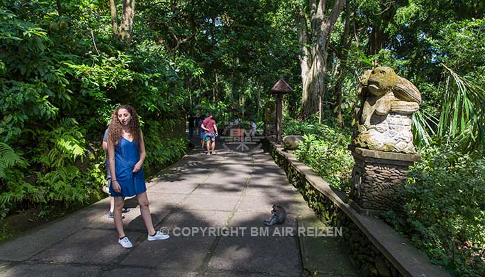 Ubud - Apenbos