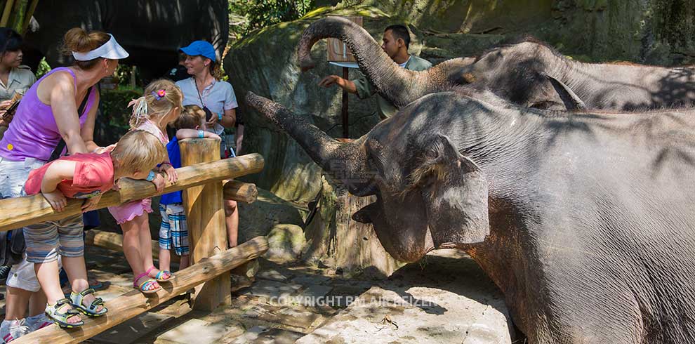Bali Safari Marine Park