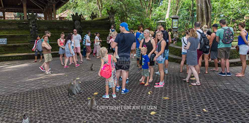 Ubud - Monkey Forest