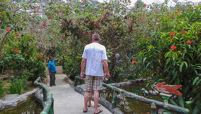 Bali - Taman Kupu Kupu vlinderfarm