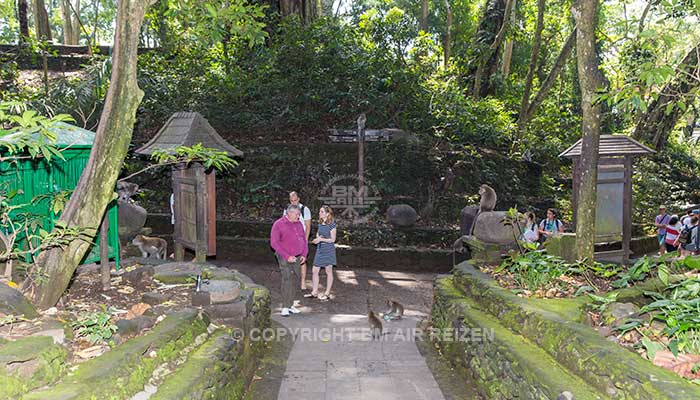 Ubud - Apenbos