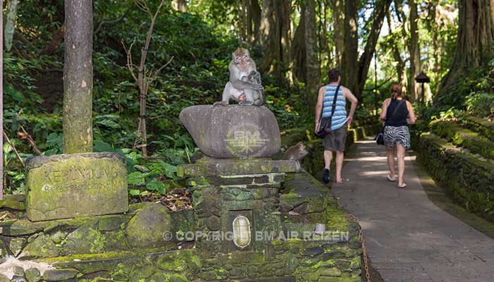 Ubud - Apenbos