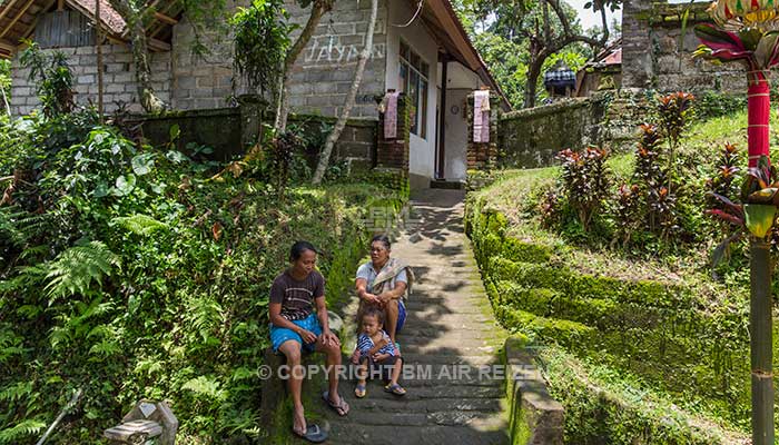 Ubud - Wandelen door de rijstvelden