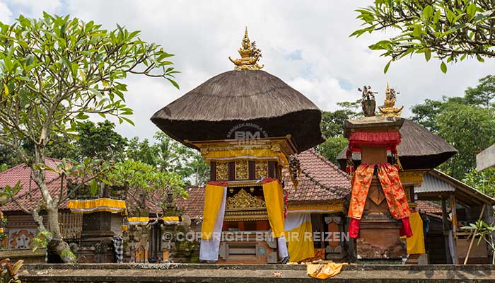 Ubud - Wandelen door de rijstvelden