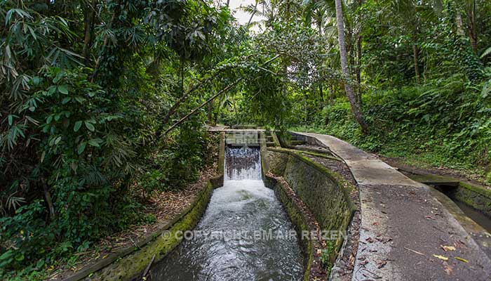 Ubud - Wandelen door de rijstvelden