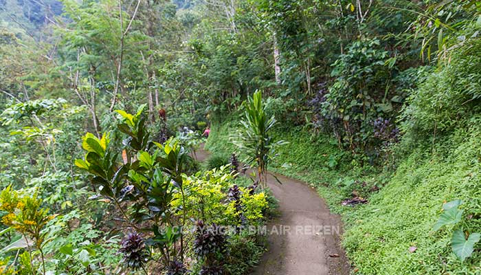 Bali - Munduk waterval