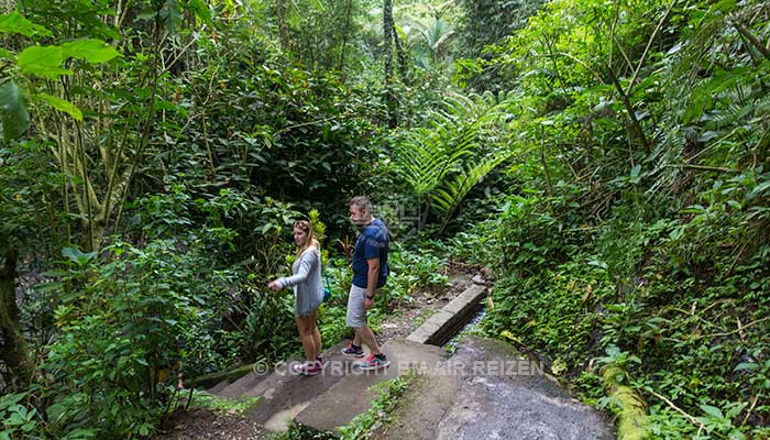 Bali - Munduk waterval