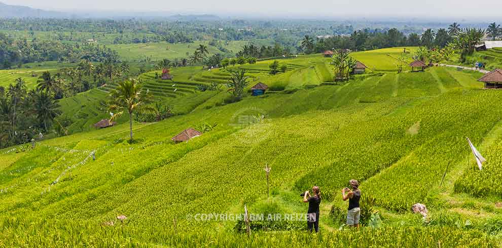 Bali - Jatiluwih rijstterrassen