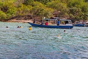 Menjangan Island - snorkelen