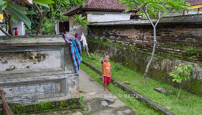 Ubud - Wandelen door de rijstvelden