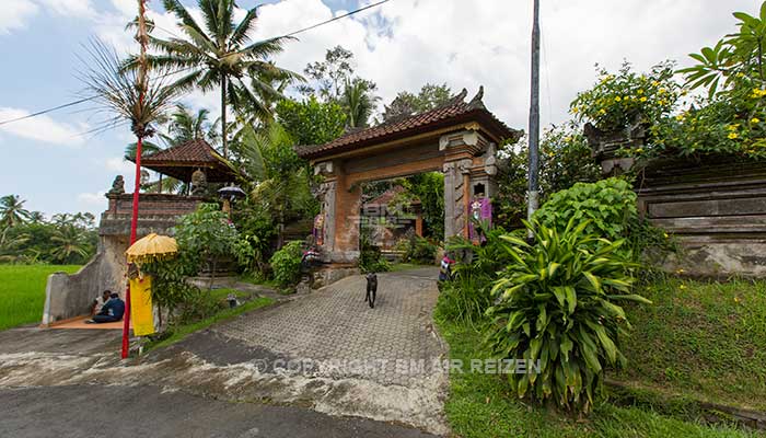 Ubud - Wandelen door de rijstvelden