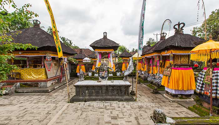 Ubud - Wandelen door de rijstvelden