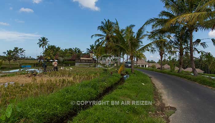 Bali - Fietstour