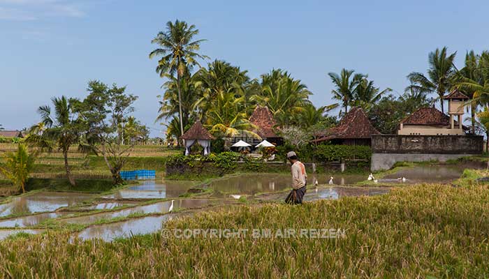 Bali - Fietstour