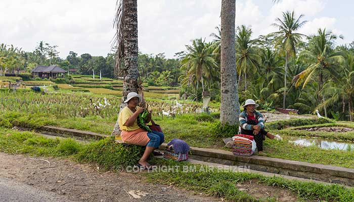 Bali - Fietstour