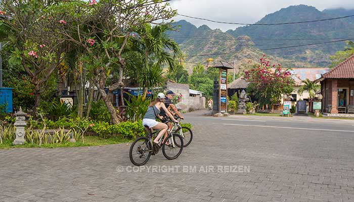 Pemuteran - Adi Assri Beach Resort