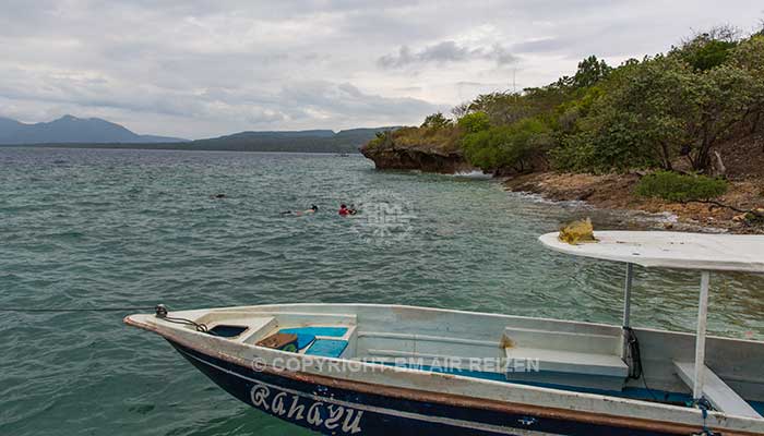 Menjangan Island - snorkelen