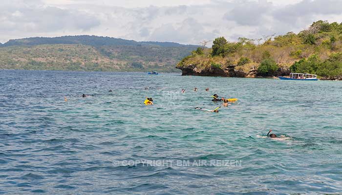 Menjangan Island - snorkelen