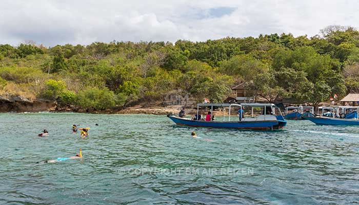 Menjangan Island - snorkelen