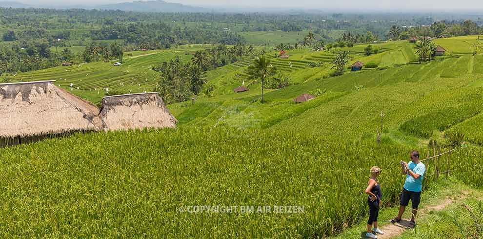 Bali - Jatiluwih rijstterrassen