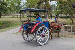 Magelang - Andhong