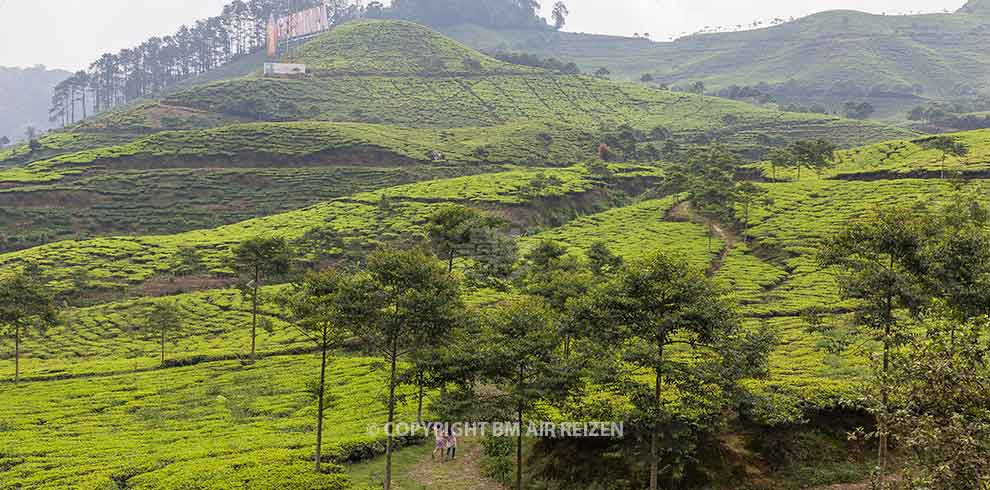 Java - Puncak Pass