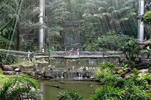 Kuala Lumpur Park en Tuin