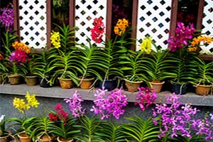 Kuala Lumpur Park en Tuin