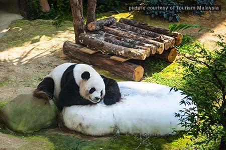 Zoo Negara
