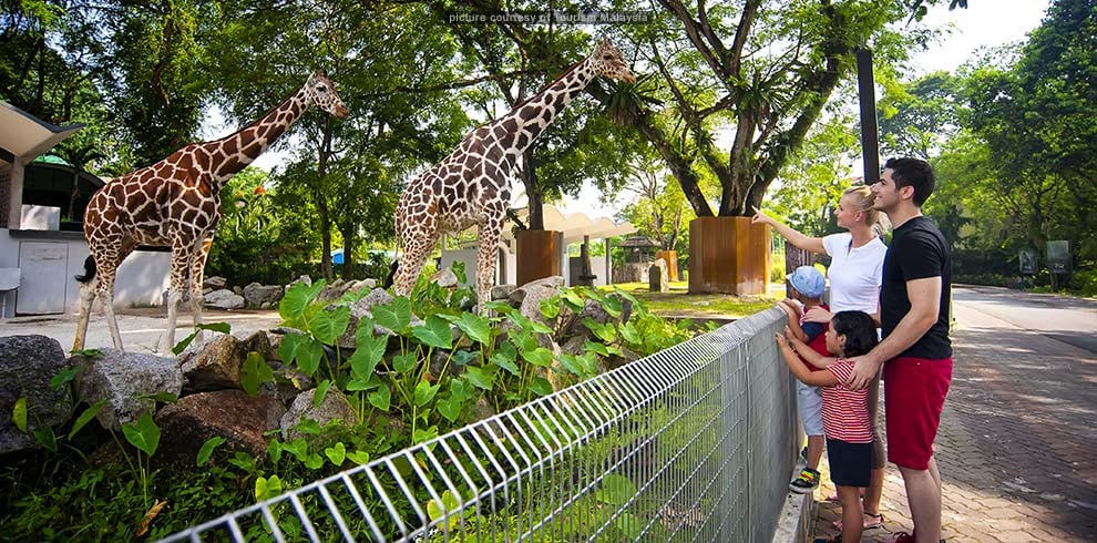 Zoo Negara - National Zoo Malaysia