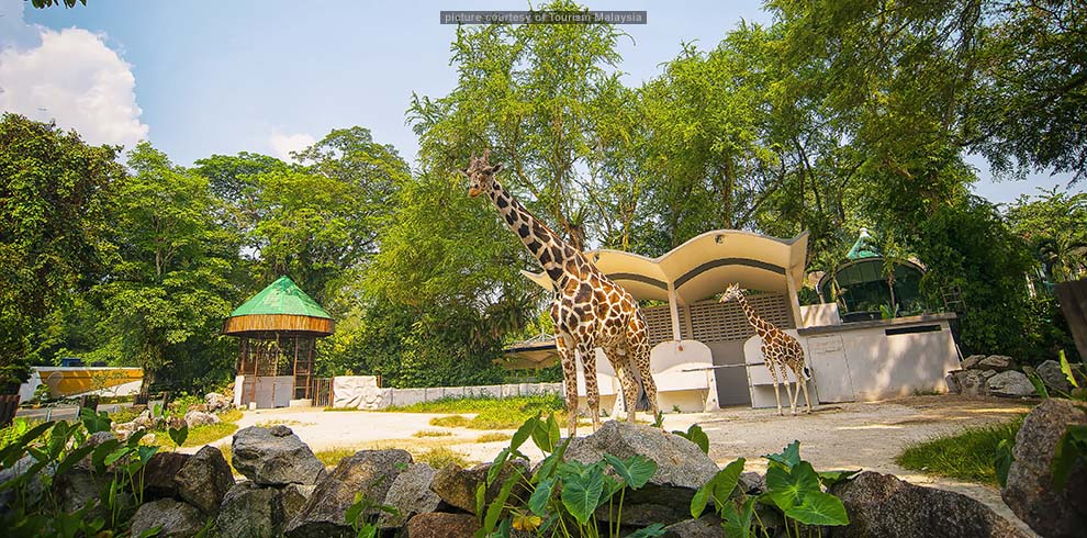 Zoo Negara - National Zoo Malaysia