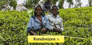 Sidebar - Rondreizen - Sri Lanka