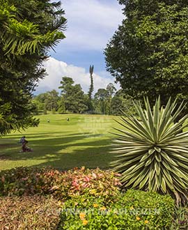 Peradeniya - Sri Lanka