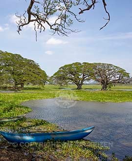 Tissamaharama - Sri Lanka