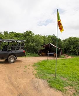 Wilpattu Nationaal Park - Sri Lanka