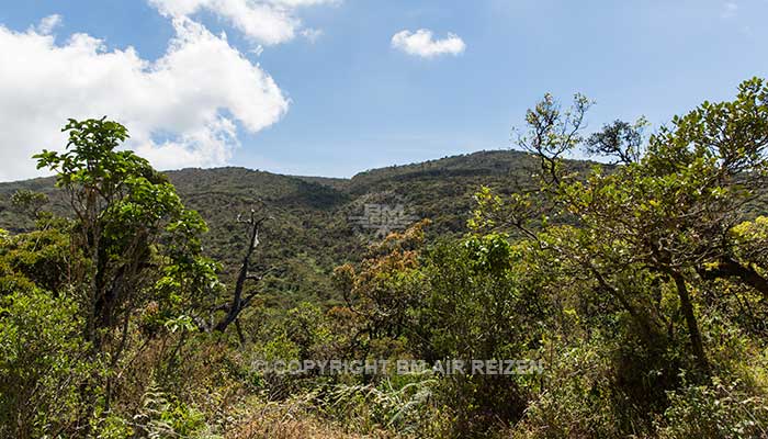 Sri Lanka - Horton Plains National Park landschap