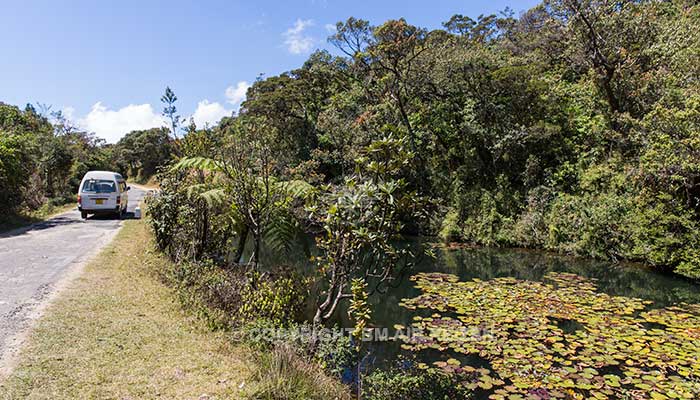Sri Lanka - Horton Plains National Park