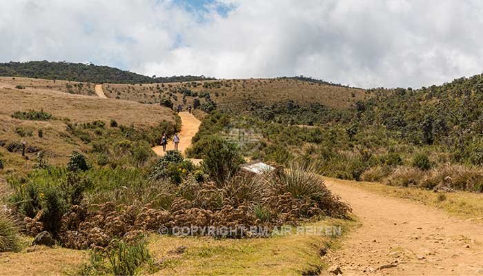 Sri Lanka - Horton Plains National Park - Wandelroute