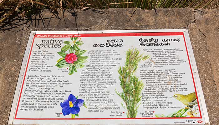 Sri Lanka - Horton Plains National Park - Informatie