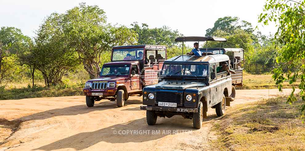 Wilpattu National Park - Jeepsafari
