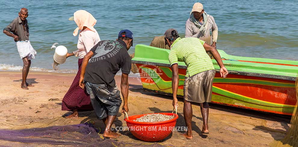 Negombo - vismarkt