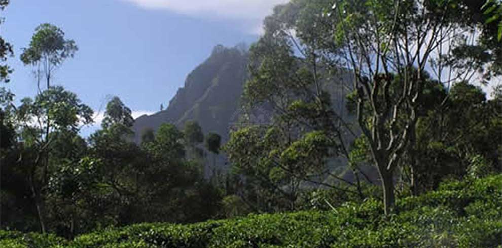 Little Adam's Peak